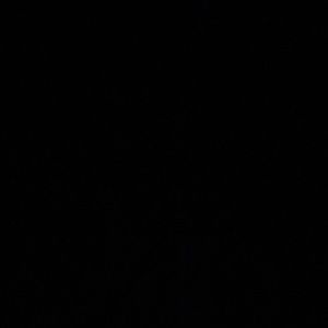 FootJoy women’s golf shoe size 9